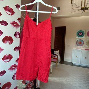 Blue Life Red Leopard Print Mini Dress